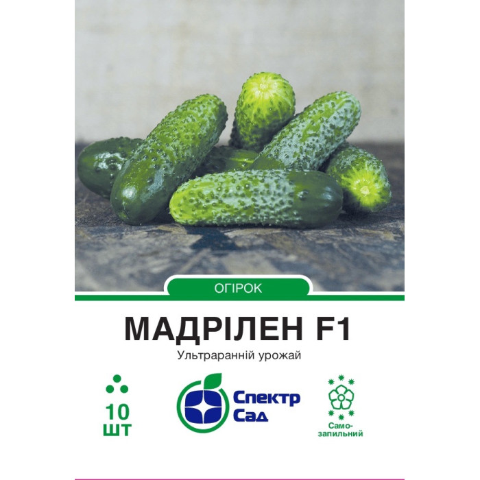 Огірок Мадрілен F1 10 насінин СПЕКТР